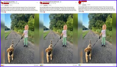 The Bella Heather Missing Scam Exposed!